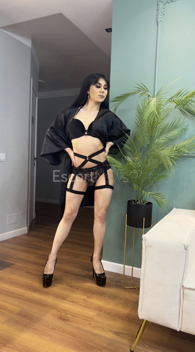 Darina Turkish: sexy escort Trans from Tallinn (Estonia) - 6guide.nl